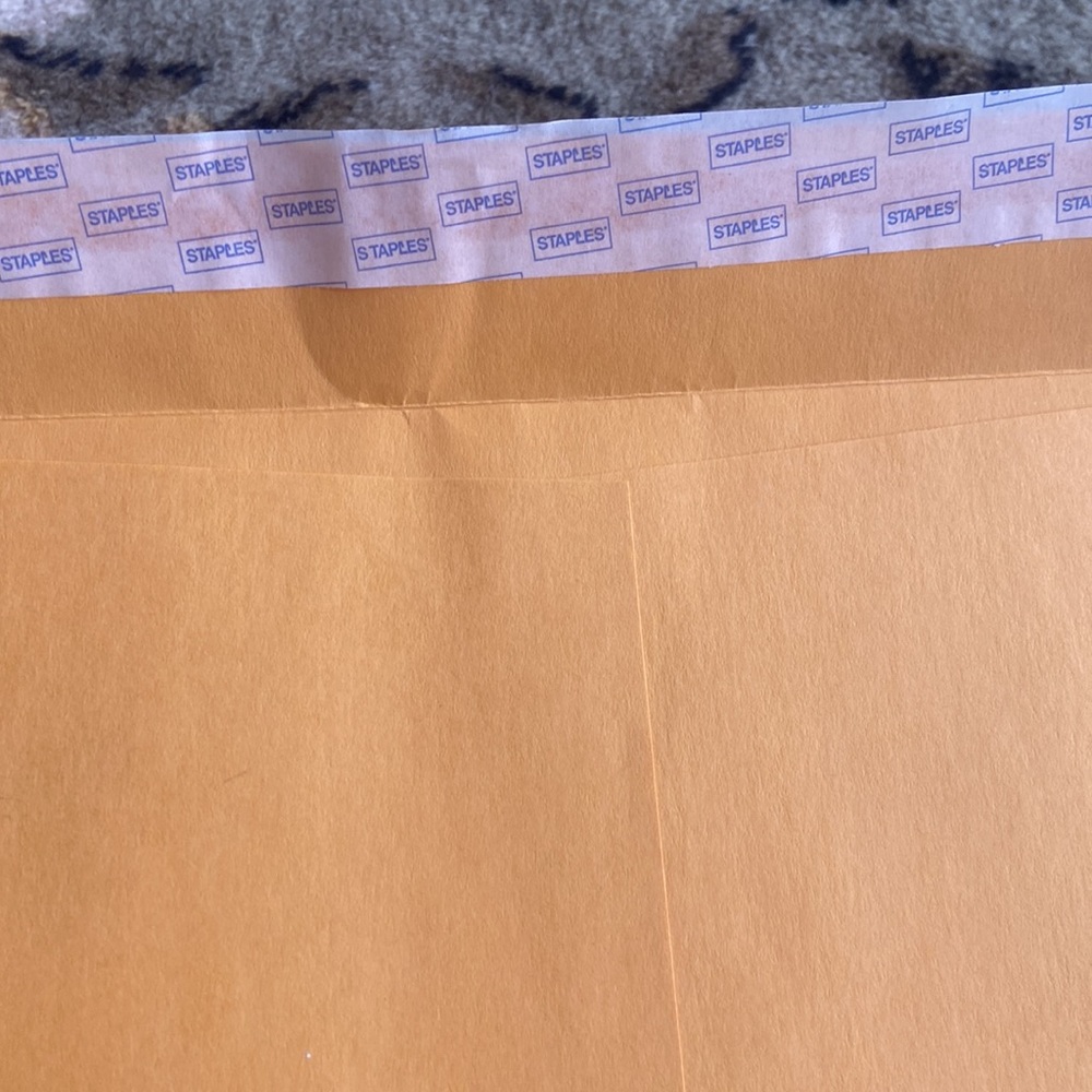 30 pcs clasp closure @ 40 pcs self seal manila envelopes - Picture 3 of 3